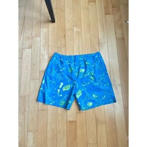 The North Face Shorts Mens XL Blue Lime Green Abstract Nature Print Athletic